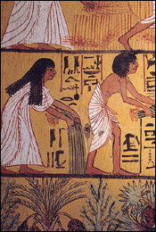 Hiéroglyphe égyptien